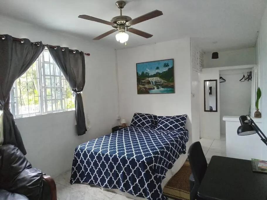 Ladville Apartment Near Kingstown #2