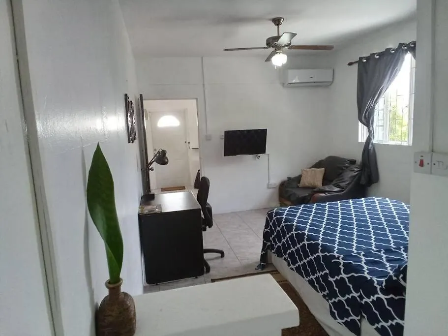 Ladville Apartment Near Kingstown #2
