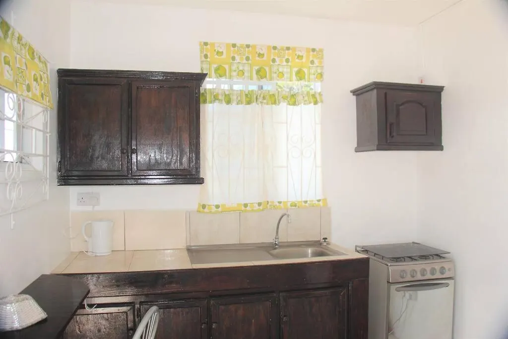 Ladville Apartment Near Kingstown #2