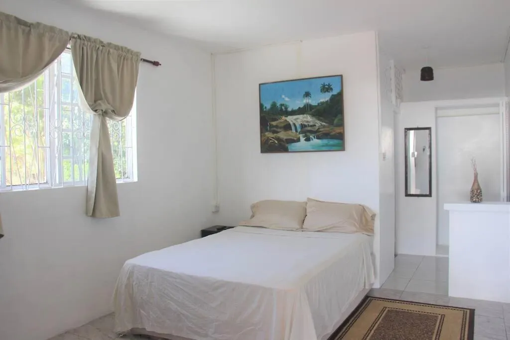 Ladville Apartment Near Kingstown #2