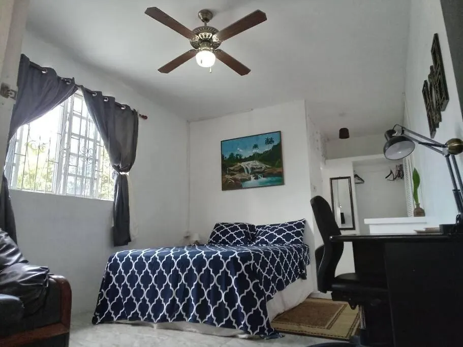 Ladville Apartment Near Kingstown #2